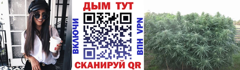 Шишки марихуана марихуана Сердобск